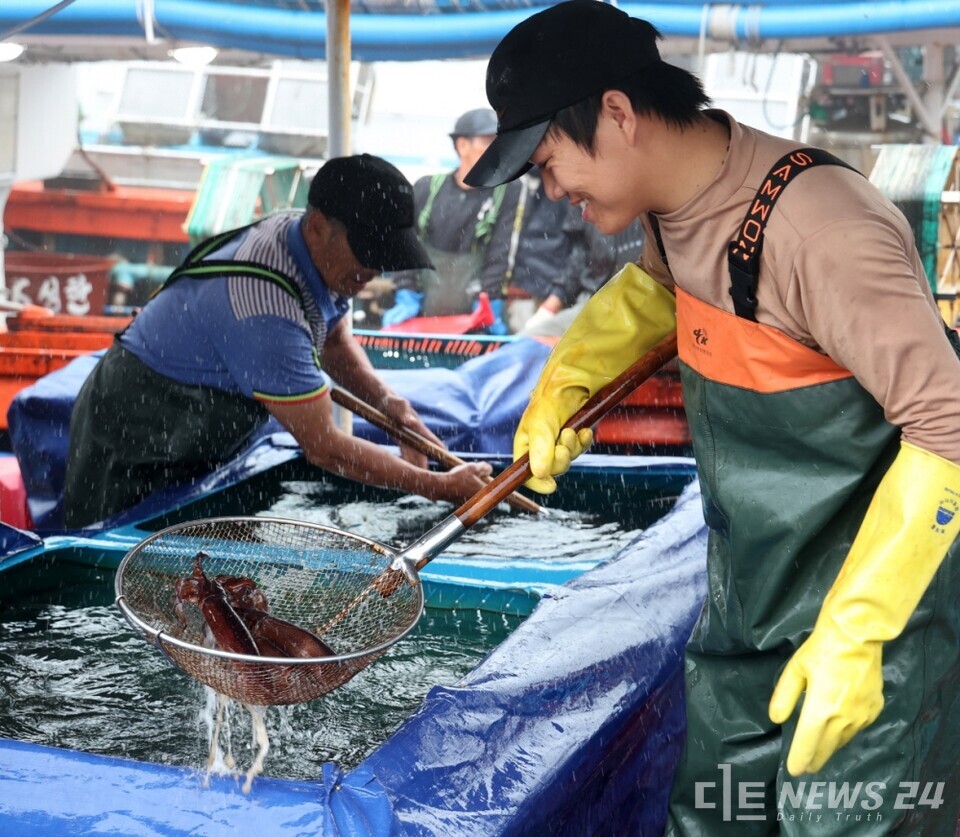 온라인부터 축제까지...태안군, 수산물 판로 확대 안간힘