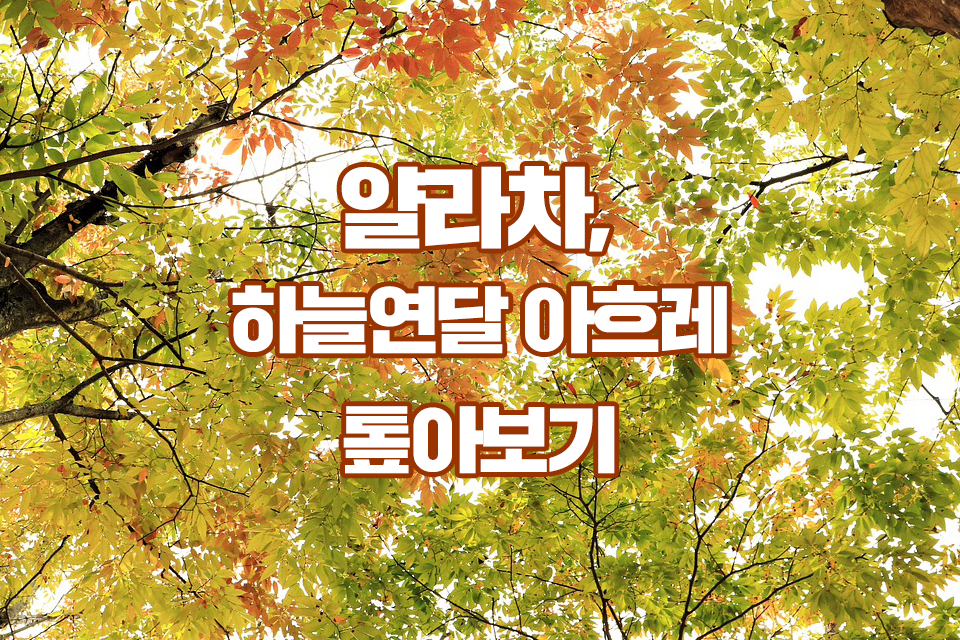 [tbs/시방 카드뉴스] 얄라차, 하늘연달 아흐레, 순우리말 톺아보기