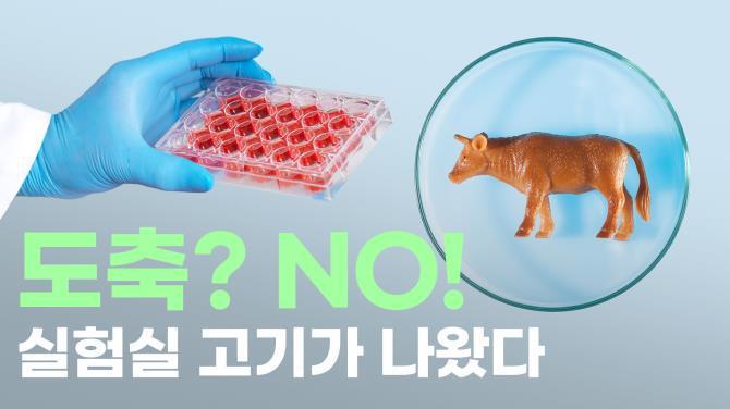 [인싸_이드] 고기 혁명! 미 FDA 세포 배양육 승인
