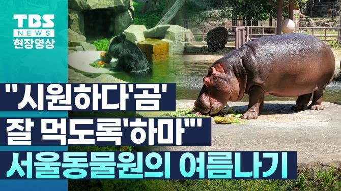 [현장영상] 시원하다곰, 잘 먹도록하마…서울동물원의 여름나기