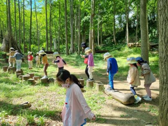 숲에서 아이 몸과 마음 쑥쑥…서울시, 유아숲체험원 78곳 순차 개장