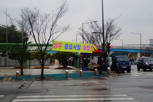 또 다시, 상무지구만 푸르게 푸르게