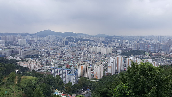 광주 아파트 청약 부적격 비율 3년째 전국 최고