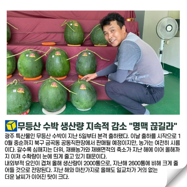 오늘 광주 8월 8일 광주드림 카드뉴스
