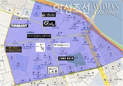 <집중분석> 국내 헤어숍들의 메카 -① 서울 청담동