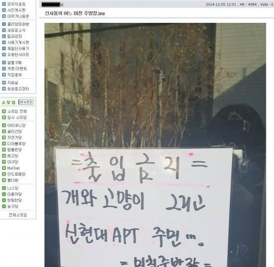 신사동의 어느 미친 주방장