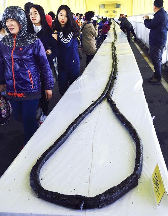 세계에서 가장 긴 1344m 김밥 사진 5장