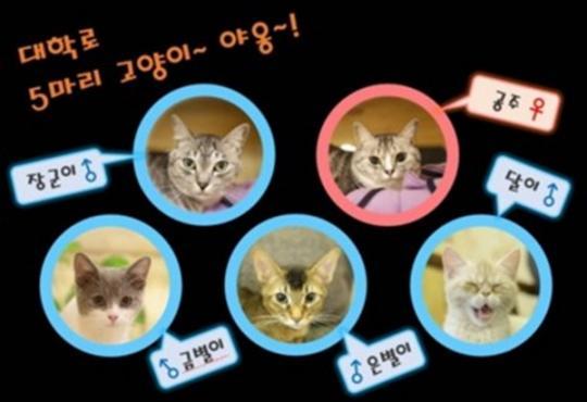 날씨 추울 때 딱 좋아 서울 내 만화 카페 6곳