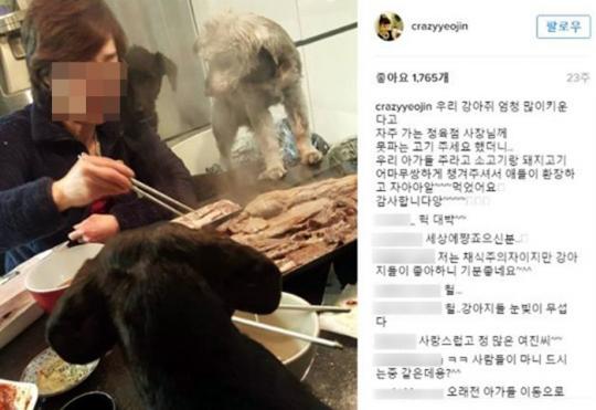 최여진 모녀, 소고기 구워 강아지 급여하는 모습 논란
