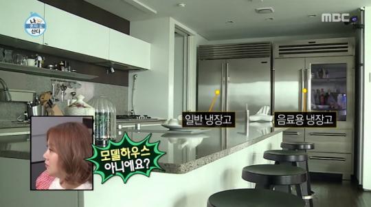 백남준 화백 작품, 1억 대 스포츠카까지  태양 집  클래스