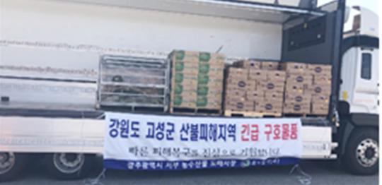  두레청과, 강원산불 이재민에 과일 전달 