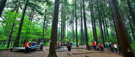 전남 장성군, 축령산 활성화사업 본궤도 올라   