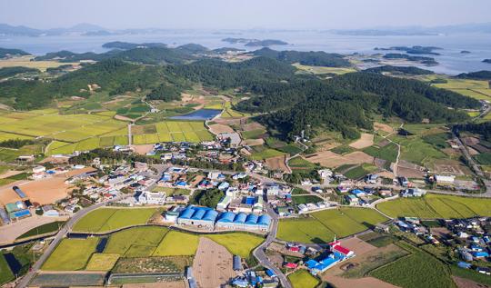 1004섬, 신안군에 천사가 나타났다