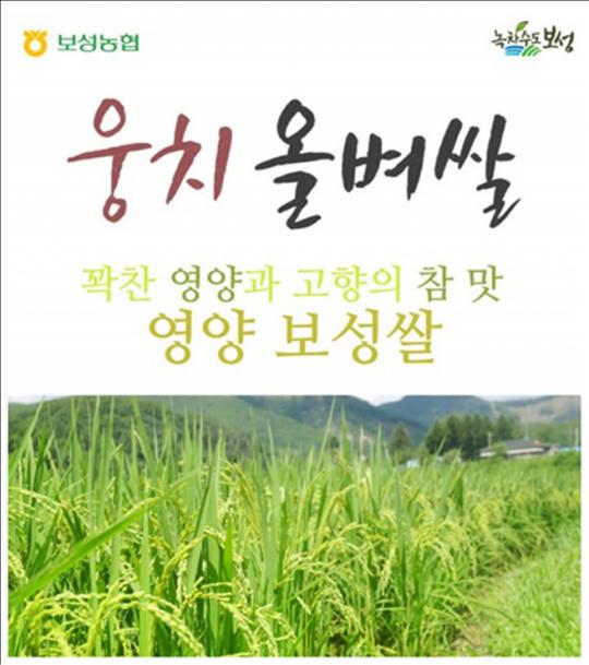 보성웅치올벼쌀향토산업사업단, 보성 올벼쌀 쌀 선진지 견학 및 워크숍 실시