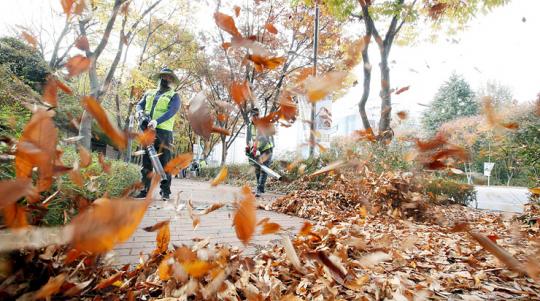 [포토]광주시 북구, 가로수 낙엽수거 재활용 한다