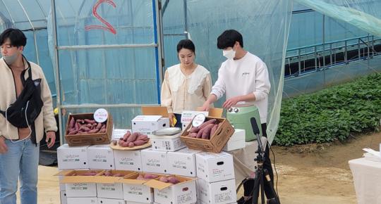 영암군, 라이브커머스로 농산물 완판 대성료