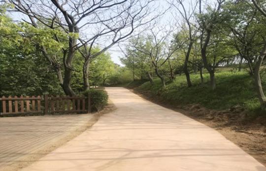 광양시, 마동현충탑공원 산책로 정비