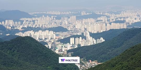 광주 아파트 분쟁 상담 1천여건~가장 많은 유형은 대표회의 구성과 해임 등 387건 38.1%
