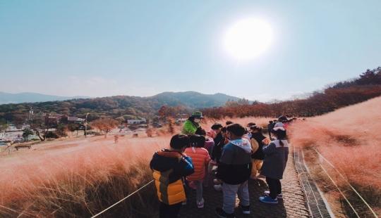 정읍시 유아숲체험원 인기, 오감 자극 상상력·창의력↑