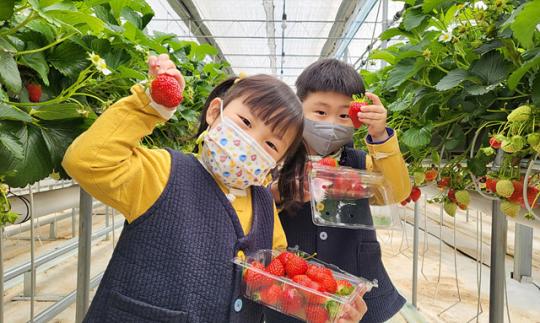 무안군, 어린이집 스마트팜 체험학습 운영