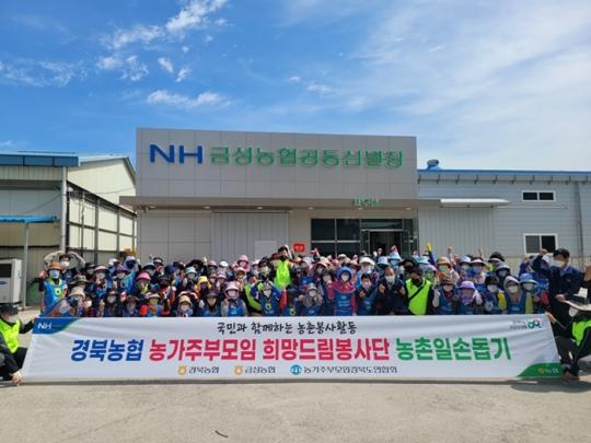 경북농협, (사)농가주부모임 희망드림봉사단과 함께 농촌일손돕기