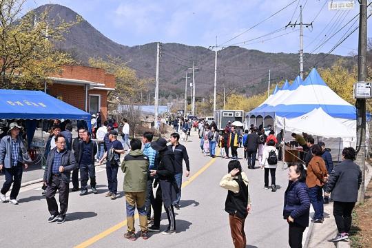 양평군, 개군면 산수유꽃마을 먹거리장터 성료