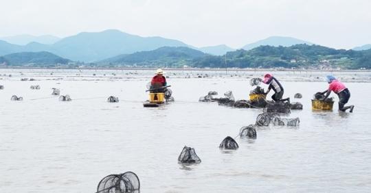 전남 순천시, 2024년 양식어장 정화사업 추진