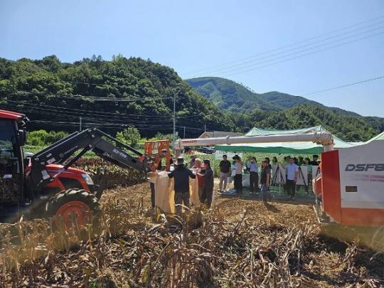 수수 품종 어떤 것들이 있는지 아시나요?