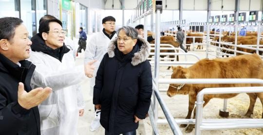전남 강진한우 품격 있는 도약, 송아지부터 차별화한다