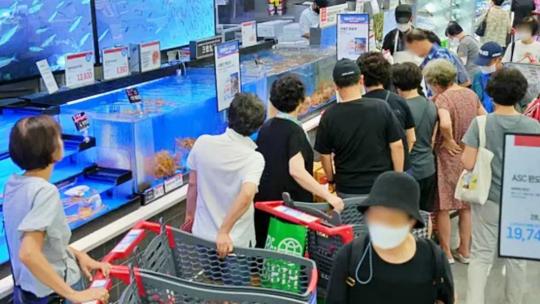 단돈 900원대에 판매…롯데마트가 파격 할인 특가로 내놓는 한국 해산물