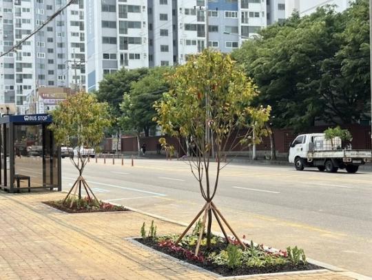 군산시, 백토로 일대 ‘사계절 가로정원’ 조성