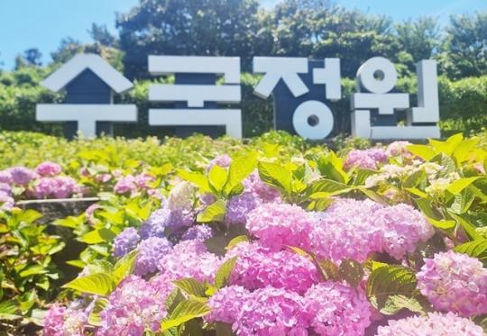 제6회 섬 수국축제