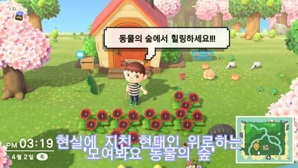 [하이게임] 모여봐요 동물의 숲은 힐링 게임