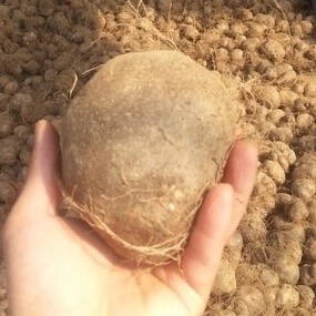 산속의 장어, 칠갑산에 있다?…우유랑 함께 먹는 이 것 정체는
