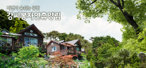강씨봉자연휴양림 10분만에 예약 완료…인기 비결은?