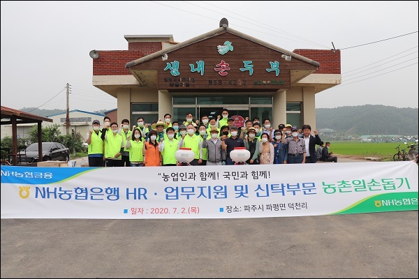 농협은행 HR·업무지원·신탁부문, 자매결연 마을서 농촌일손돕기