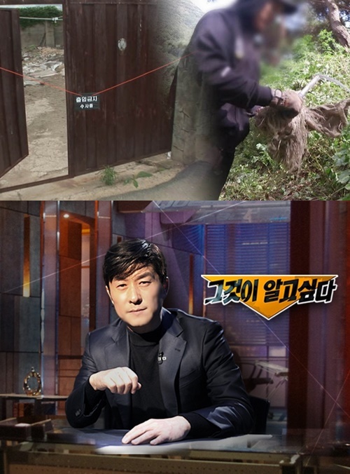 그것이 알고 싶다 시신과 일주일 동거한 남자와 빨간 대문집 살인 사건