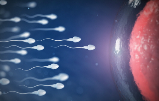 건강한 임신 위해 ‘정자 직진 운동성’ 체크해야…남성에게 이로운 영양 성분은?