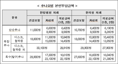 내달 8일부터 한방 추나요법 건강보험 적용