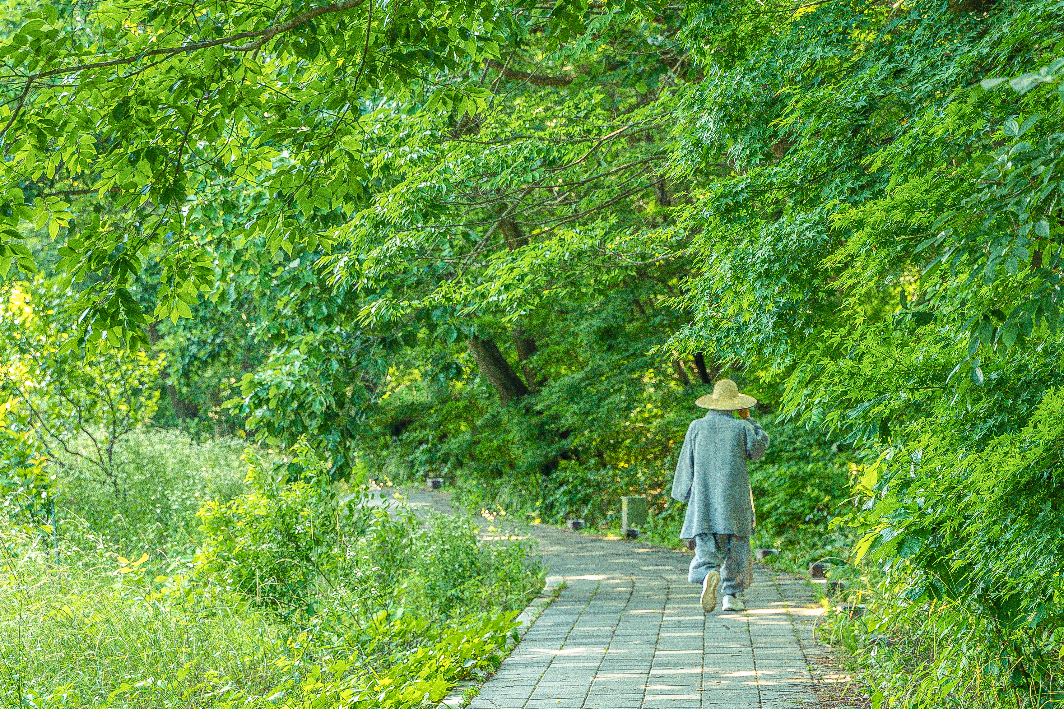 여름에 물들고… 향기에 취하고…
