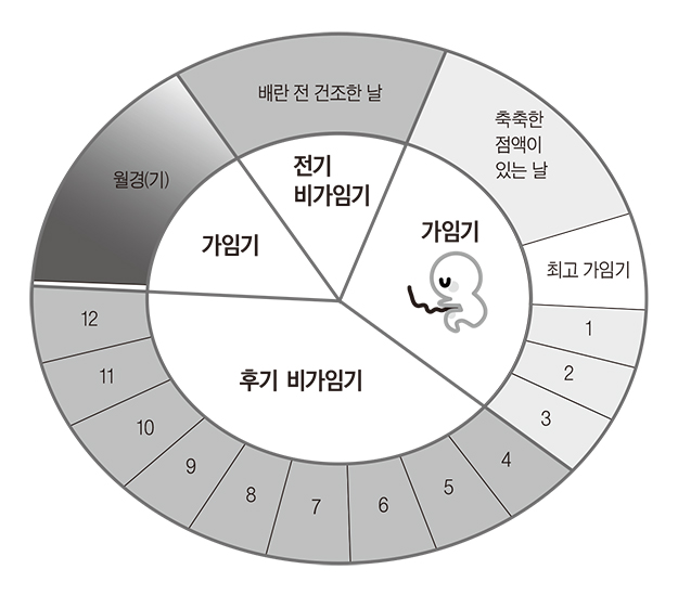 가톨릭생명윤리硏 학술지 자연주기법 활성화, 주교의 지지와 지원 절실”