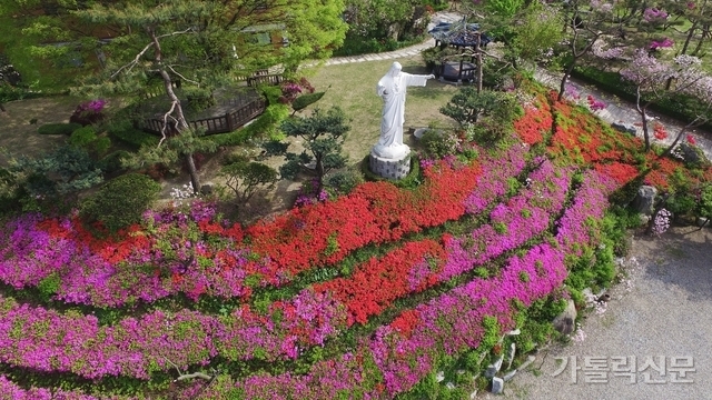[예수 성심 성월 특집] 예수 성심 성월의 의미와 신앙인의 자세