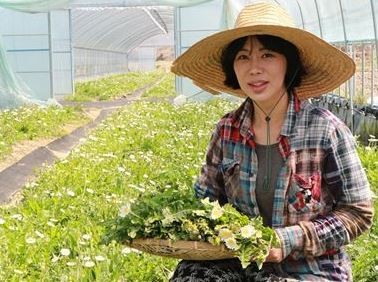CJ 계절밥상, 4~5월엔 ‘하얀민들레’ 먹어요
