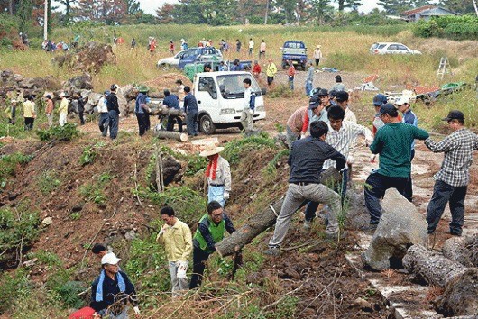 고사한 소나무 제거 안간힘