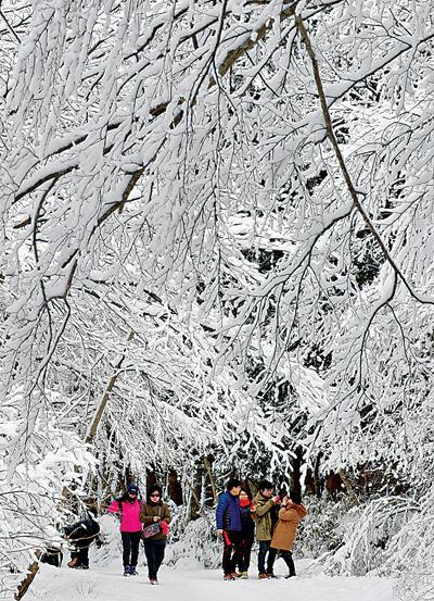 사려니숲길에 급수시설 들어선다