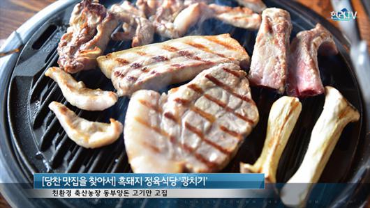 흑돼지 고기 구이가 유명한 성산일출봉 정육식당 광치기 