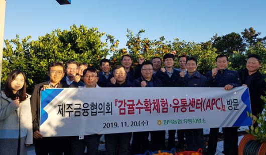 제주금융협의회 감귤수확·소비촉진 동참