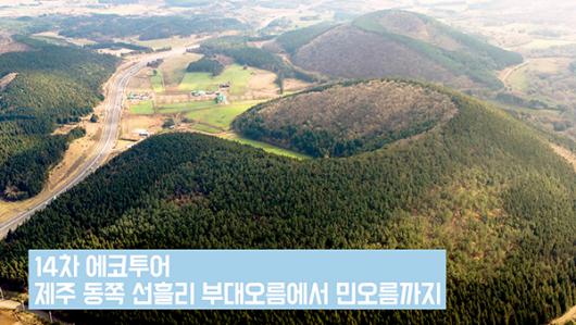 [영상] 제14차 2020 제주섬 글로벌 에코투어