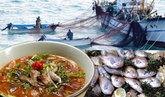 [휴플러스] “자리물회 줍서”… 자리돔이 돌아왔다