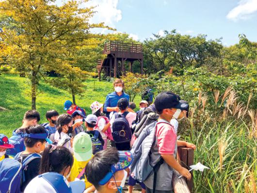 [제주도교육청·한라일보가 함께하는 숲길체험 프로그램 (5)제주북초등학교